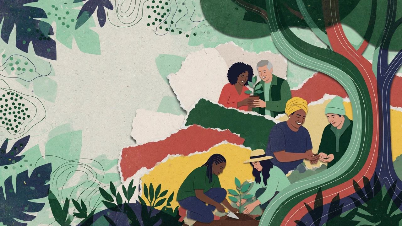 Illustrated community learning scene